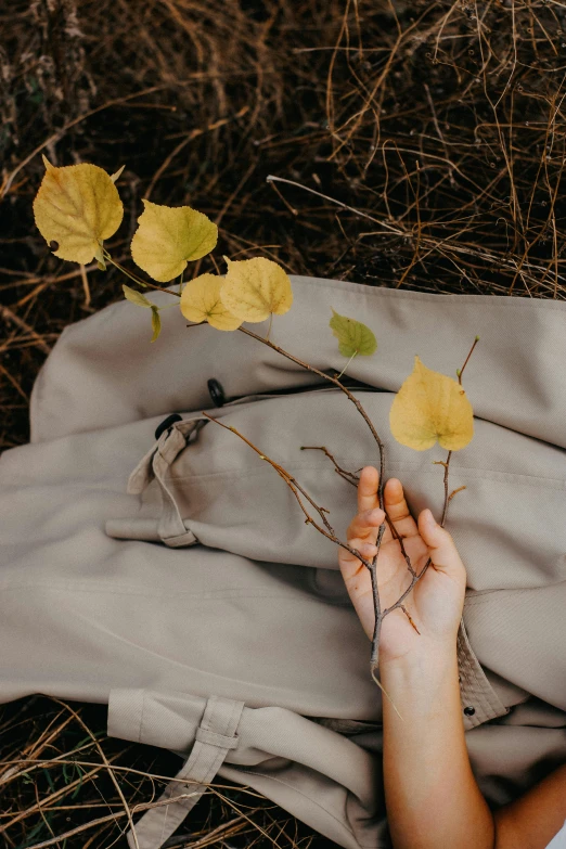 the leaves are starting to be wilted on the t - shirt