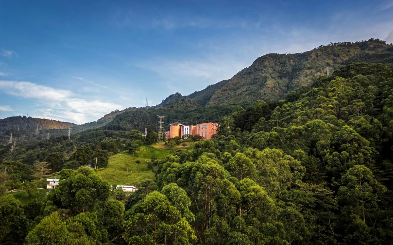 a small mountain with trees and buildings on it