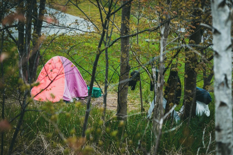 there is a tent set up in the woods