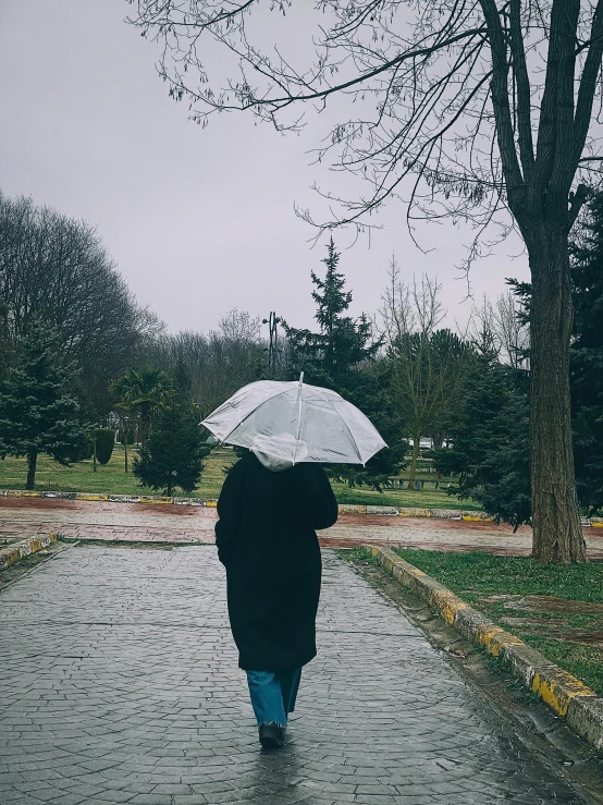 a person walks down a paved pathway while holding an umbrella