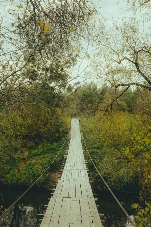 the view from the top of a wooden bridge