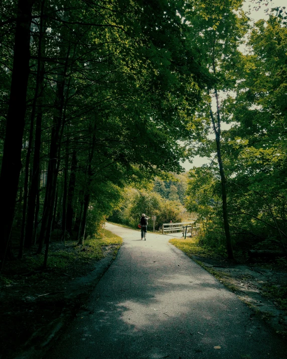 a long narrow road that leads to a park area