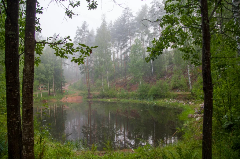 a pond surrounded by trees and green grass