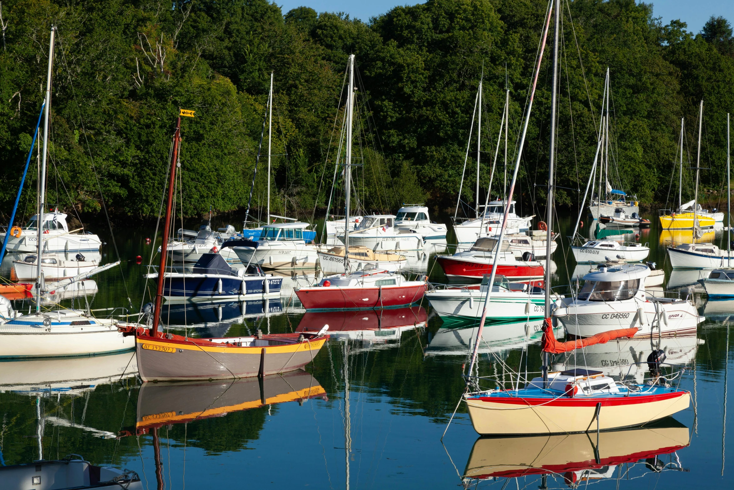 many sailboats anchored in a small harbor