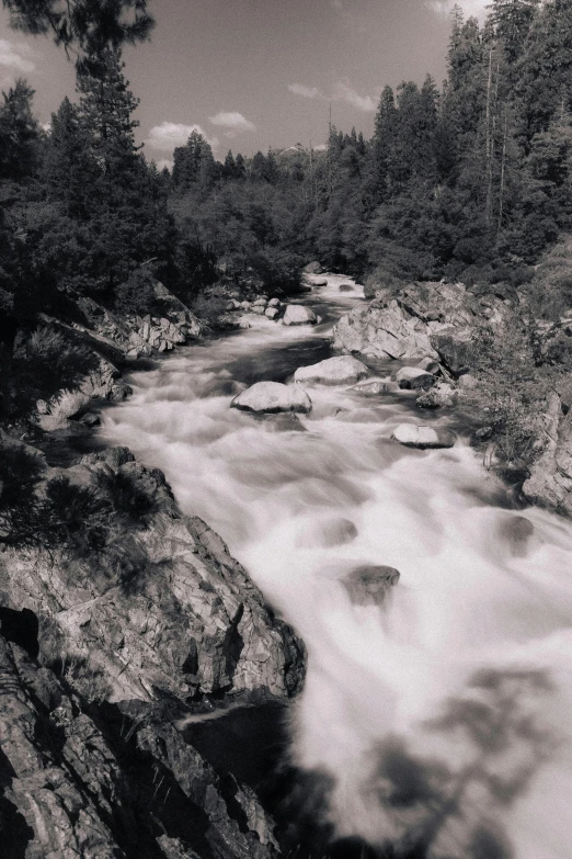 black and white pograph of a stream flowing in the woods