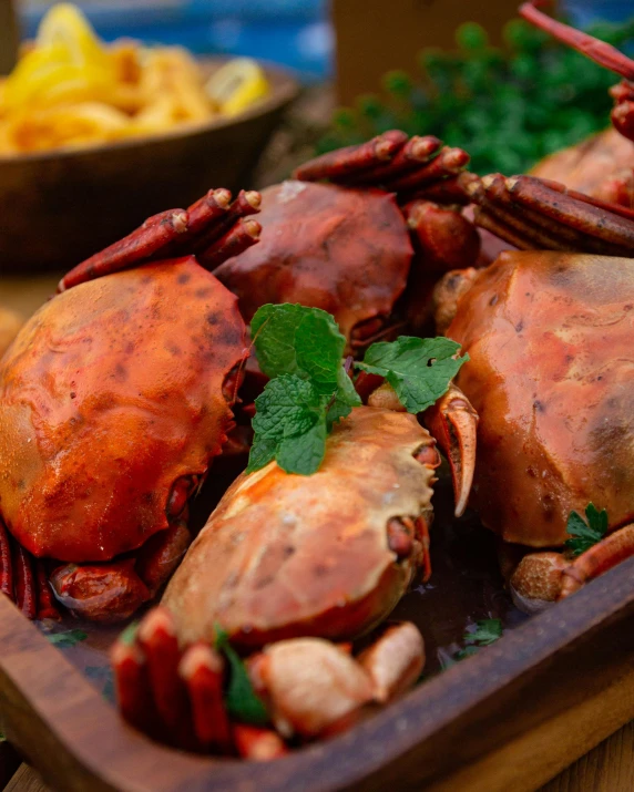 several cooked lobsters on a tray with herbs on the side