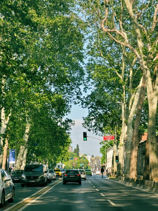 the road is full of cars with many trees