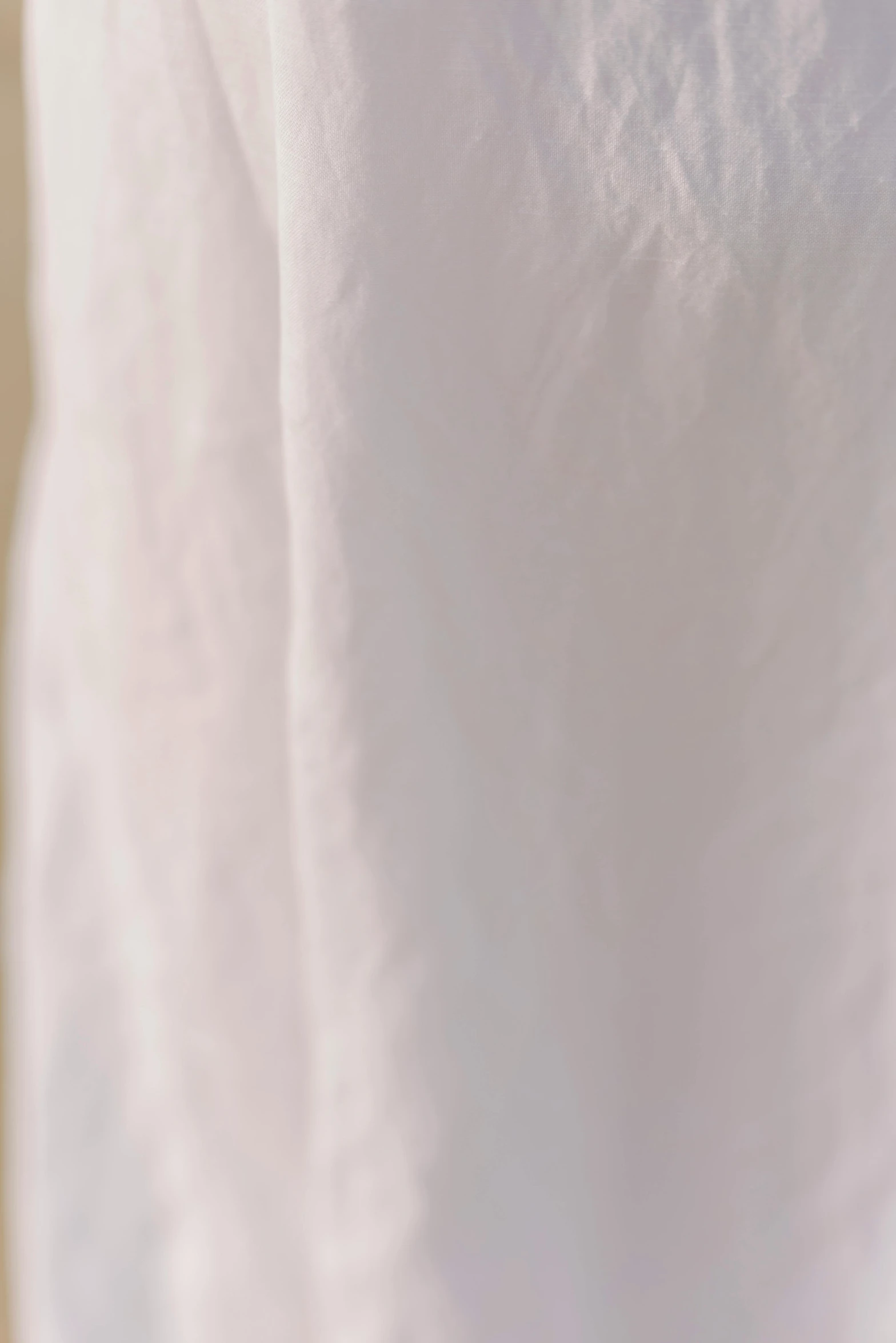 closeup of white shirt with small black cat laying on top