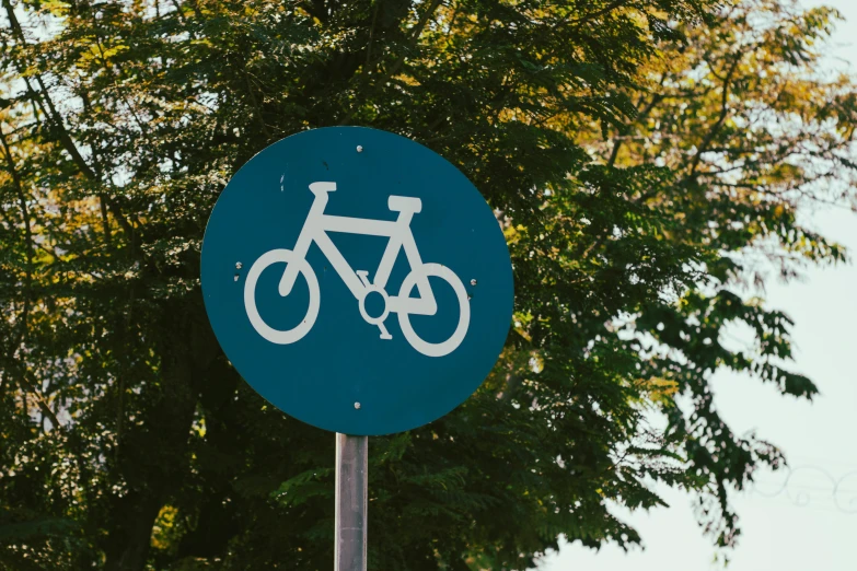 a bicycle sign on a pole outside in front of trees