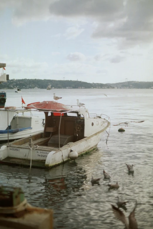 some very pretty boats in the water with seagulls