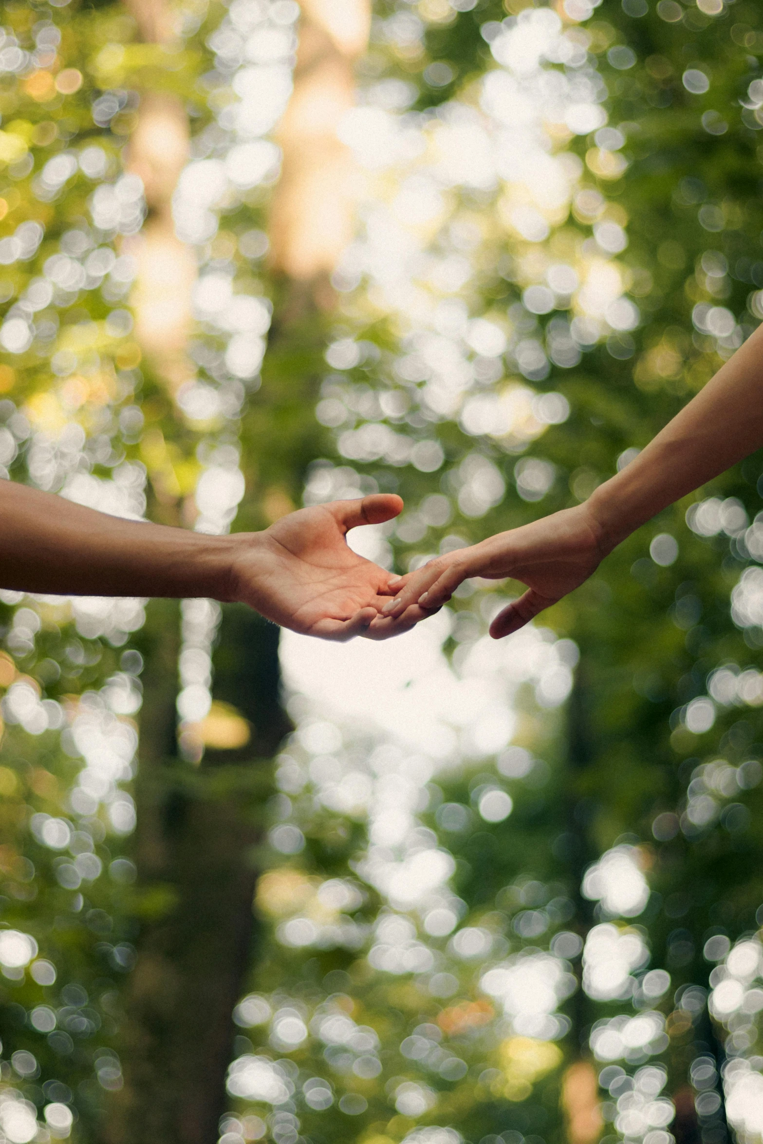 two hands reaching out towards each other in front of trees