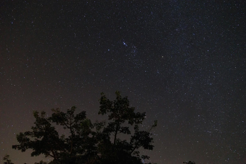 a tree is in the foreground under the night sky