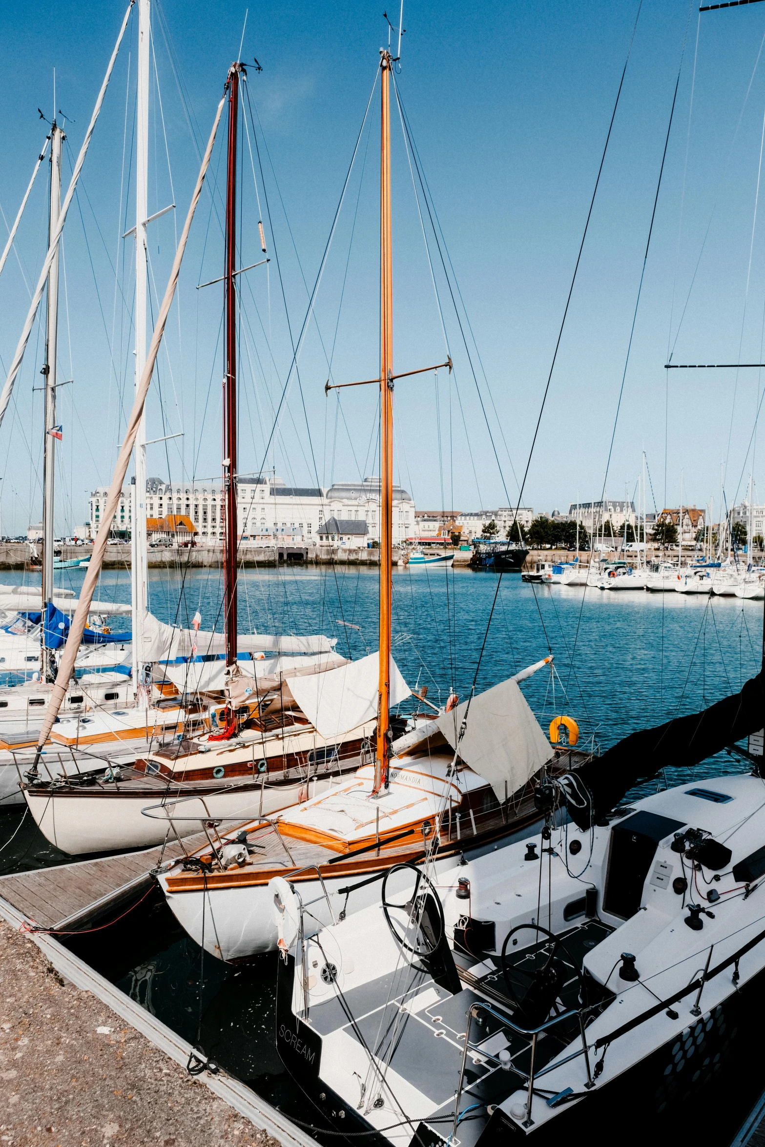 sail boats in a harbor with the city behind them