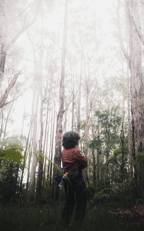 a person walking in a wooded area by itself