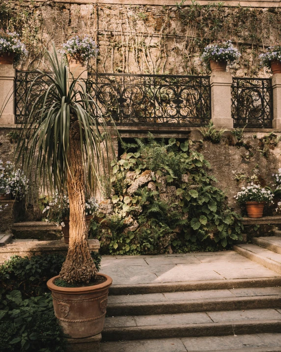 a plant sits in a pot with some purple flowers in it