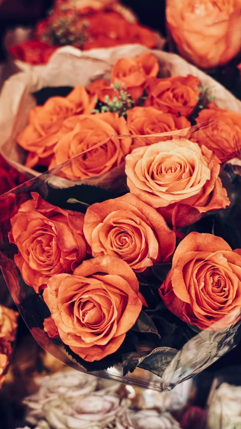 a bunch of roses in a vase on a table