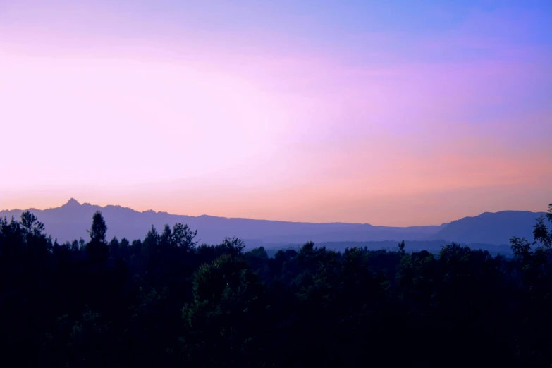 the trees are near to a hill on the horizon