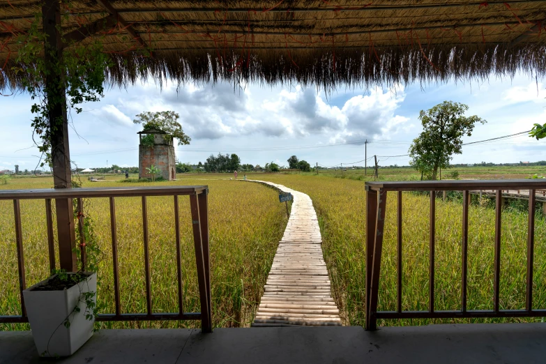 wooden stairs are leading to an open area that has grass growing on it