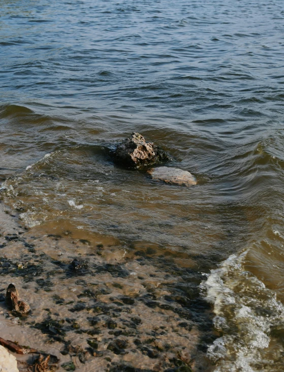 a person swimming in water with rocks near by