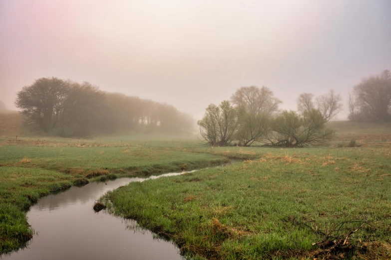 a stream meandering through a green grassy field