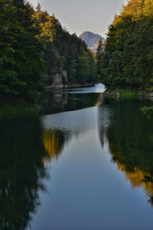 the reflection of trees and hills in a river