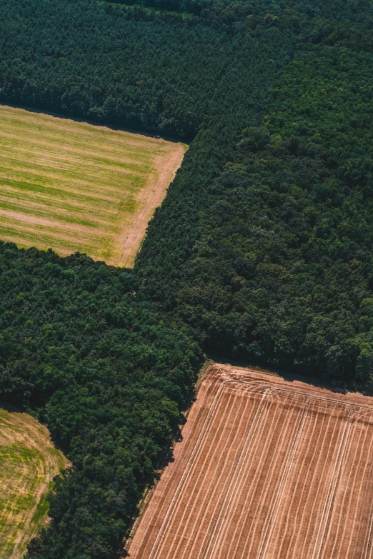 a farm field with a tractor plowing through it