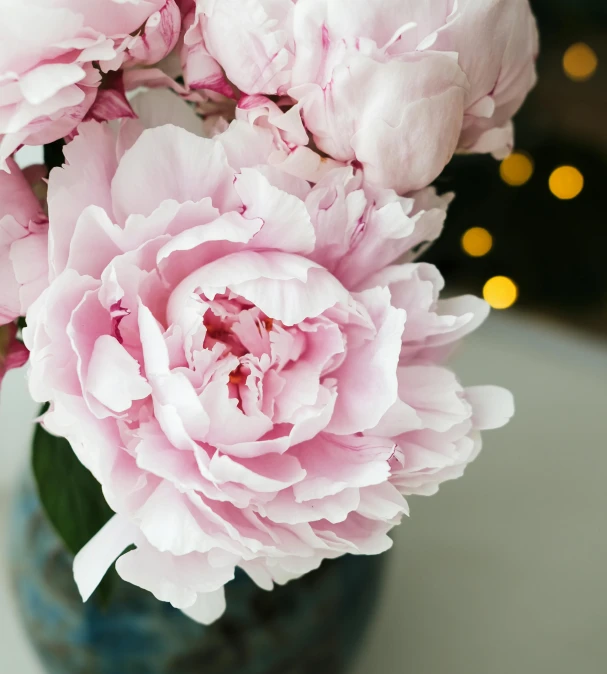 pink flowers are sitting in a green and blue vase