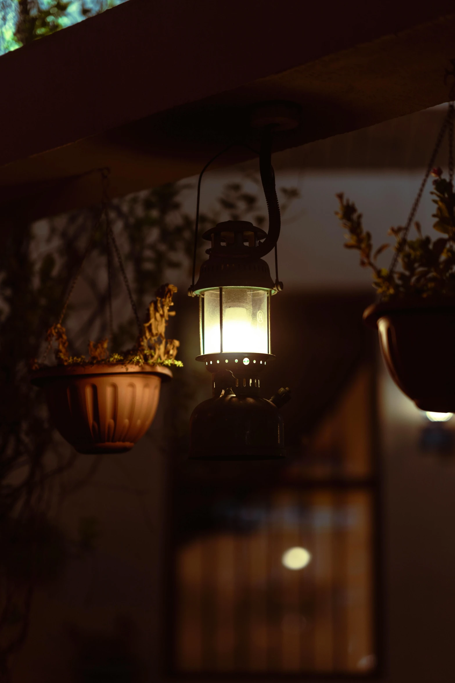 a lamp that is attached to a hook above some plants