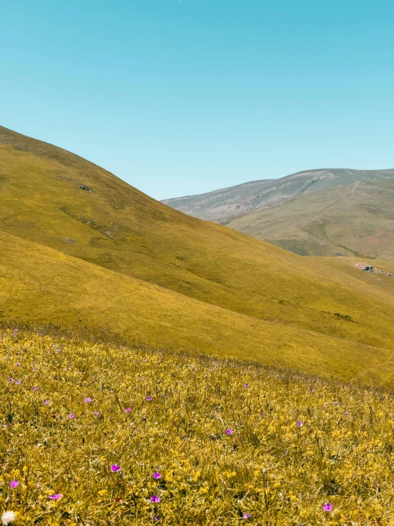 a very tall grassy hill in the middle of a field