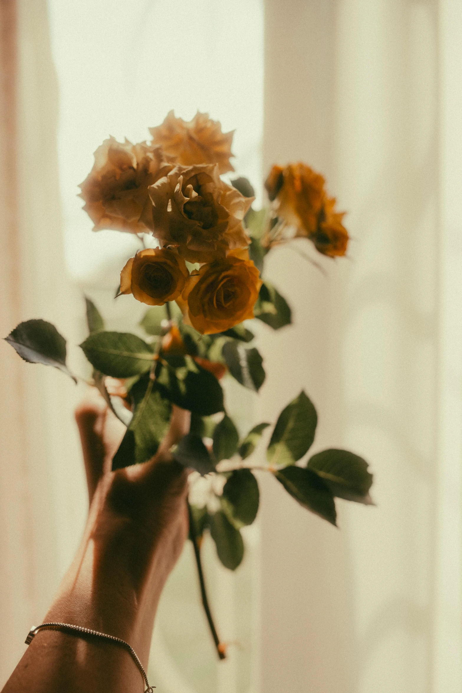 the arm of a person holding a bouquet of roses