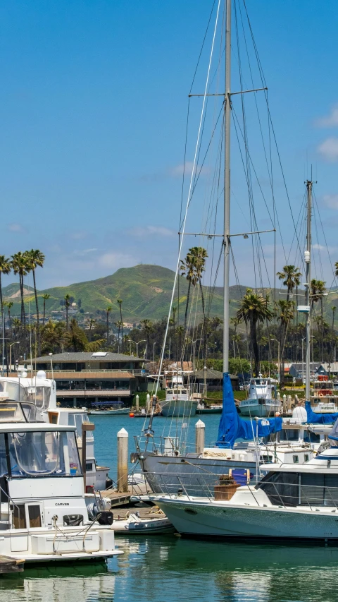 the harbor is full of boats and other anchored vessels