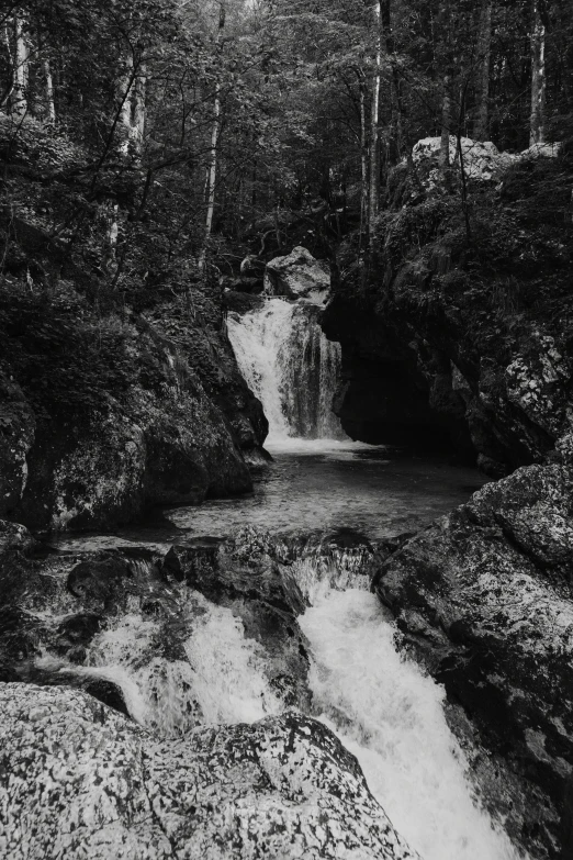 the black and white pograph shows a waterfall in the woods