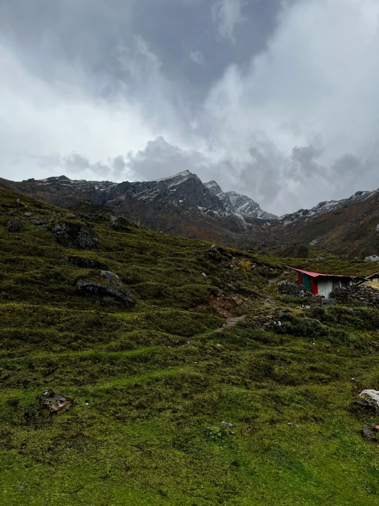 a mountain with green grass and shrubs in the foreground