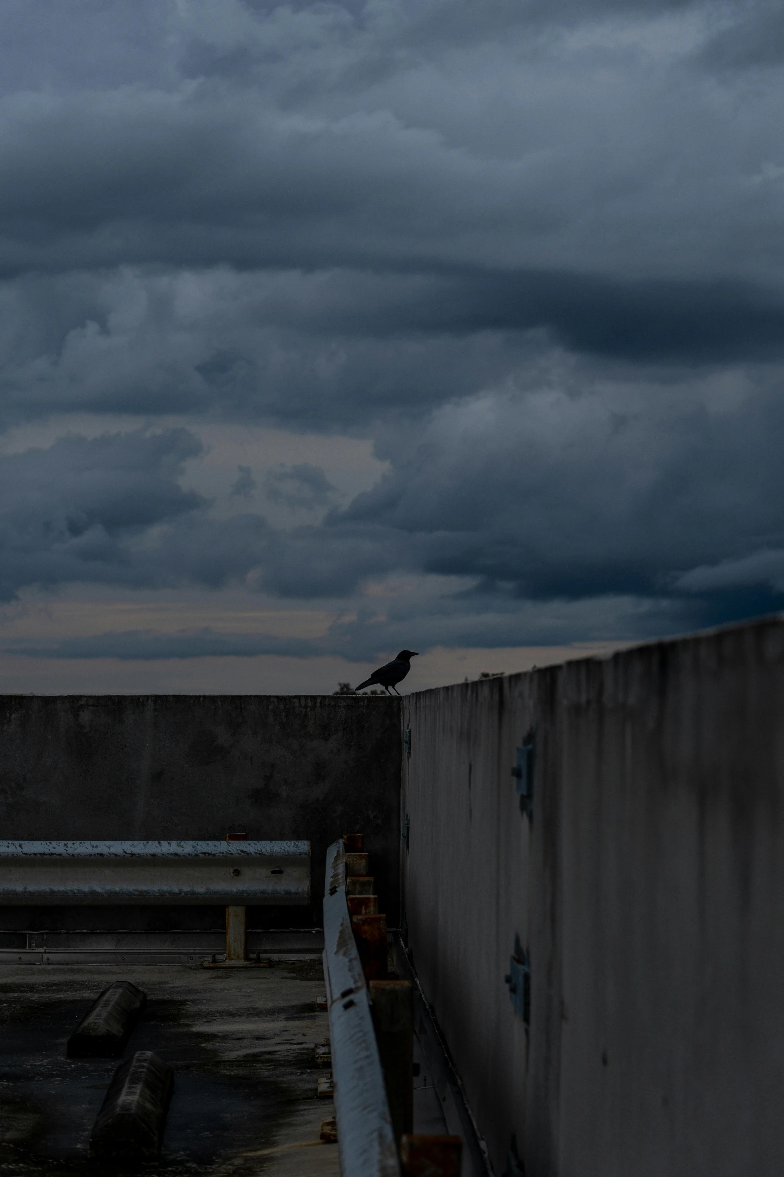 a black bird sitting on top of a concrete wall under cloudy skies