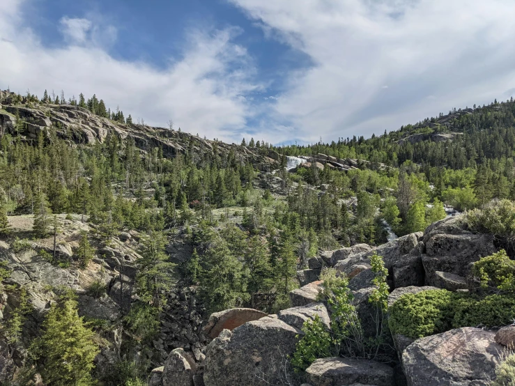 a grassy slope with rocks and trees on both sides