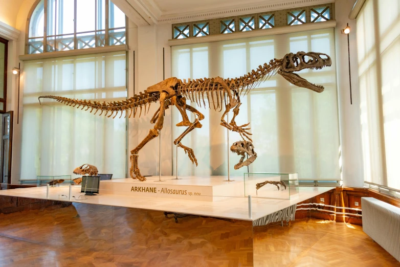 an interior with a museum display of the skeletal animal