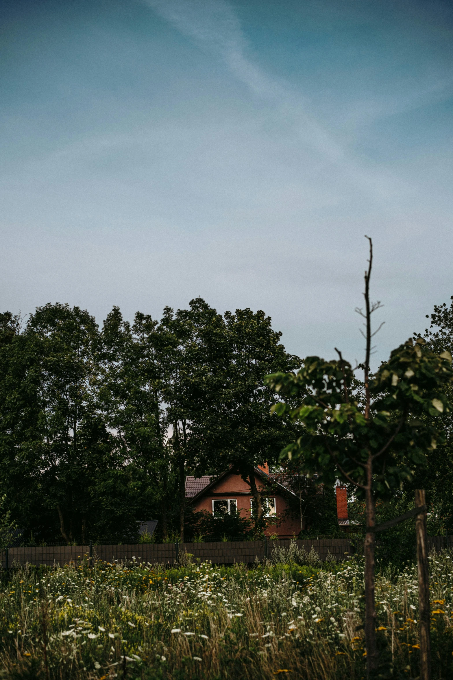 a farm house on a dirt road by some trees