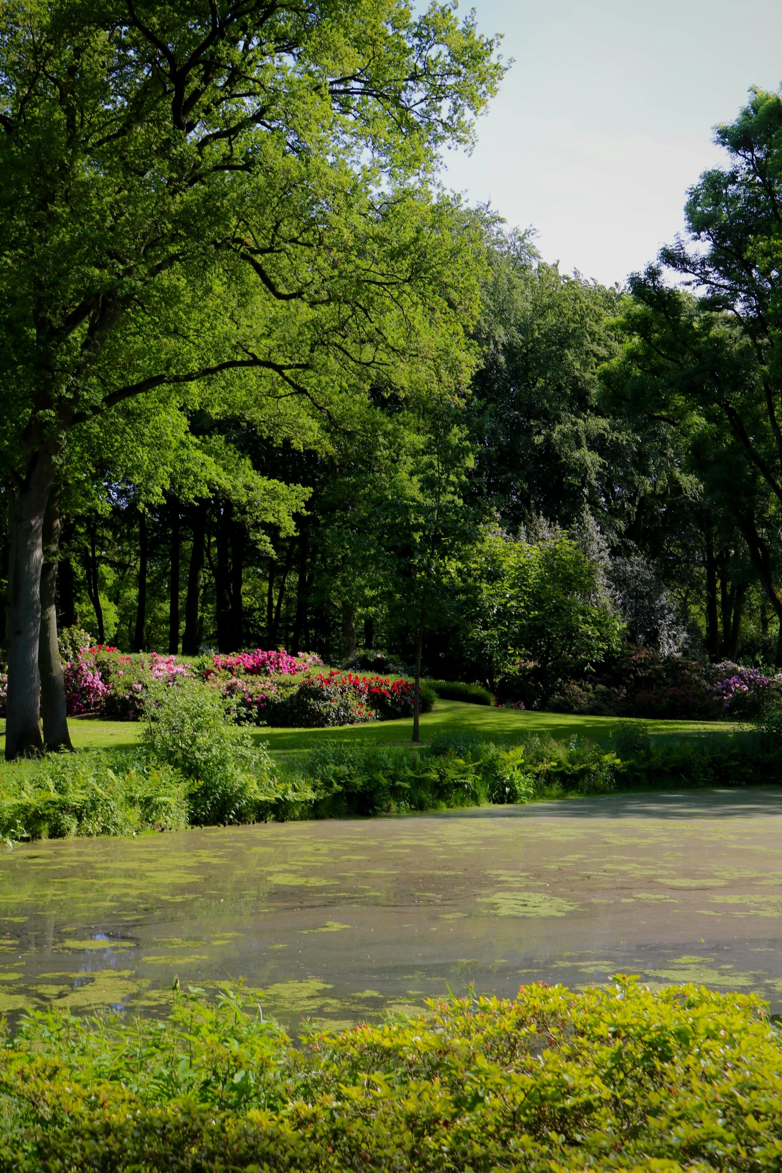 the grass is green and is surrounded by trees