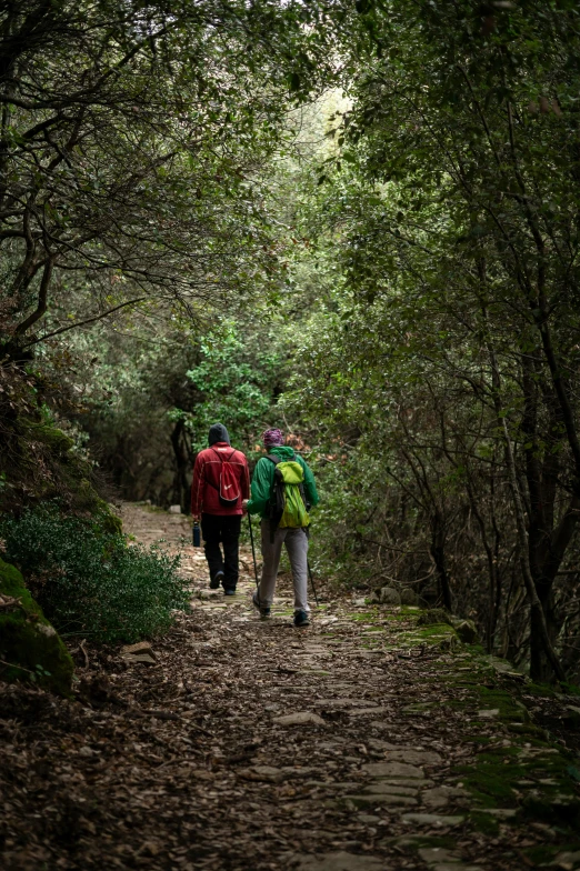 two people with backpacks are walking down the path