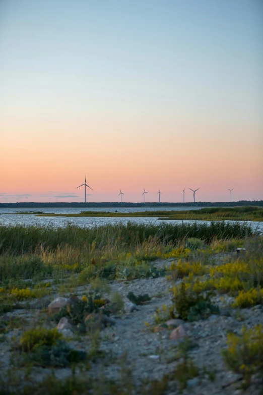 a po with some windmills in the background