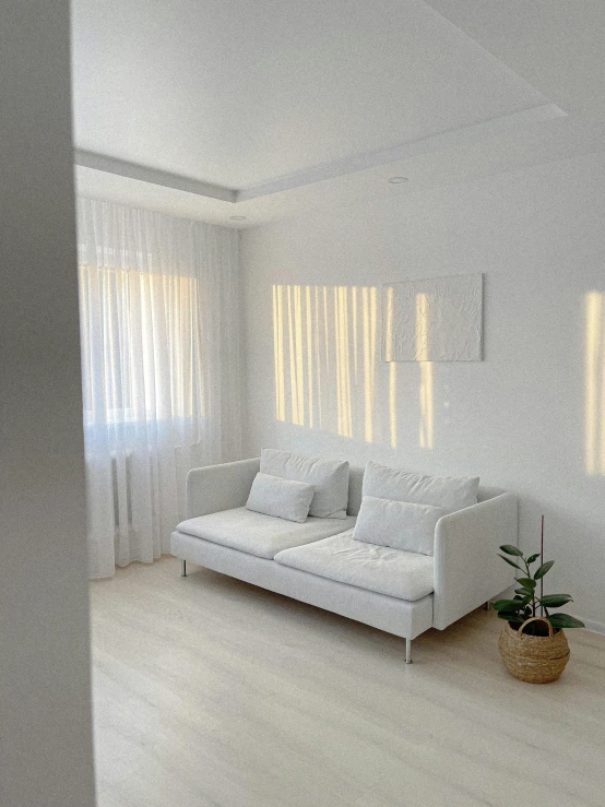 a room with a white couch a plant and three windows