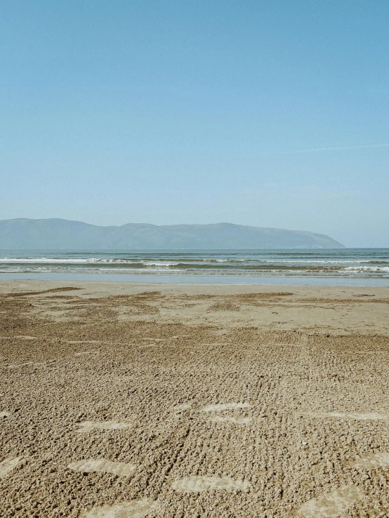 the dog is running across the beach with its master