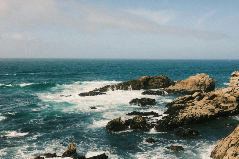 a bird that is standing on a rock