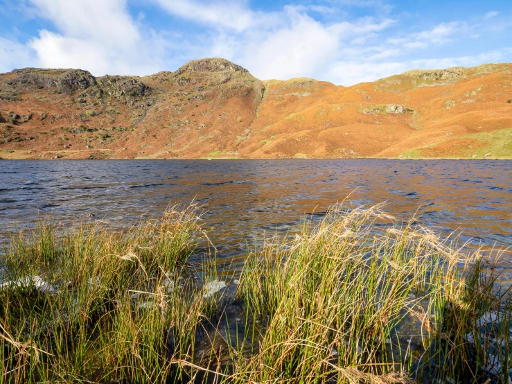 a lake with grass growing around it and mountains on the horizon