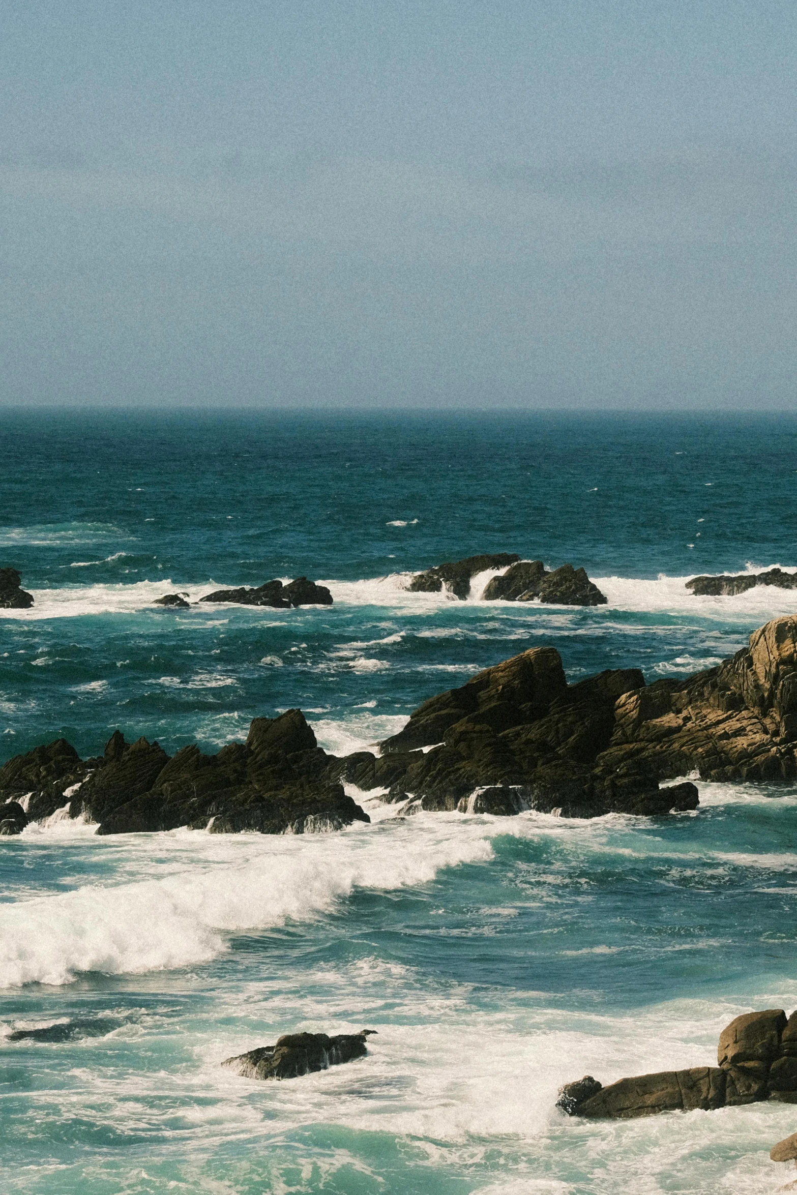 a bird sitting on top of the rocks near the ocean