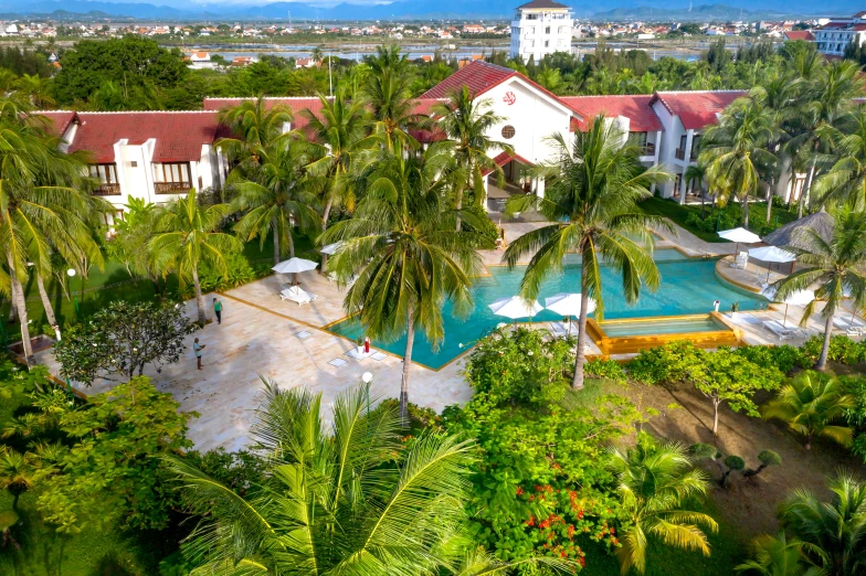 an aerial view of the palm trees, mountains and pool