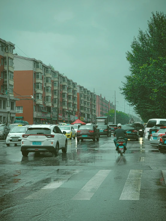 cars on a road in the rain