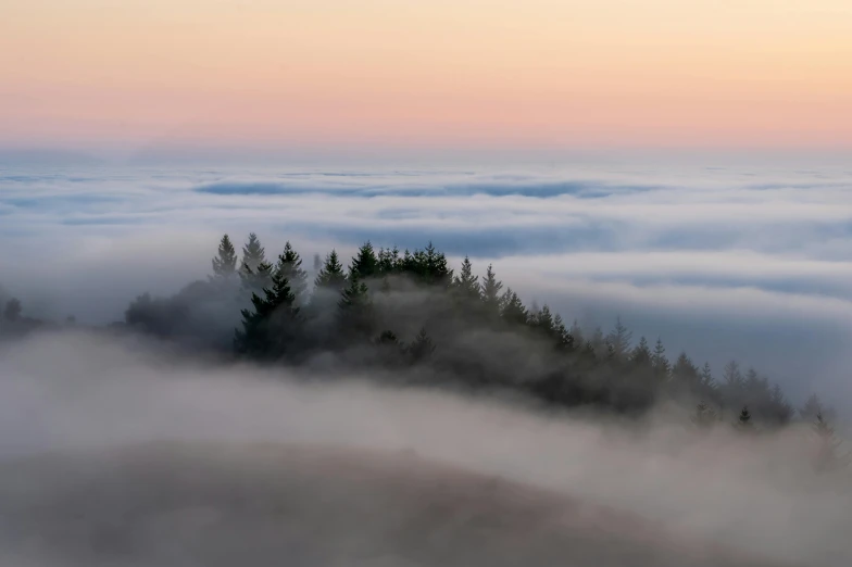 fog rolls in over trees on a hill in the distance