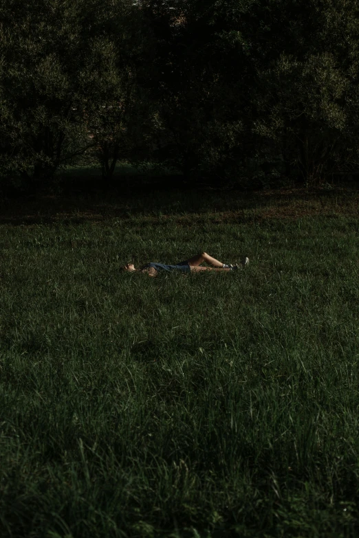 a woman laying down in the middle of some tall grass