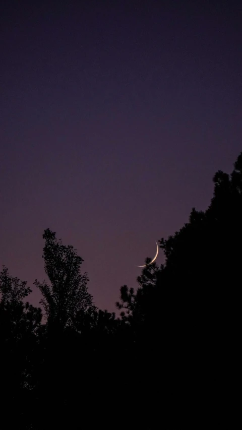 the moon is seen above trees in the evening sky